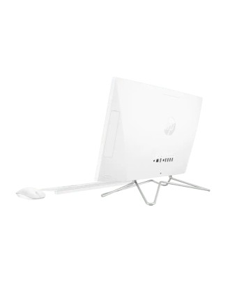 HP All-in-One 22-dd0302in PC